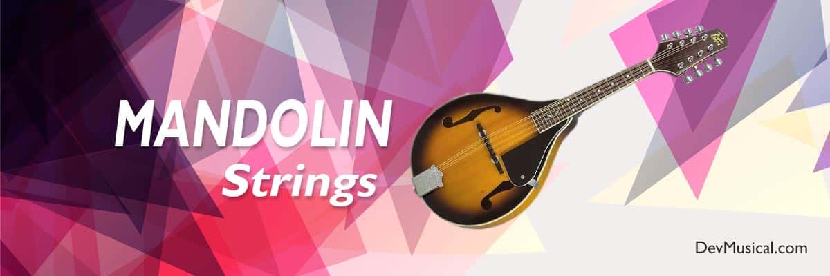 MANDOLIN STRINGS