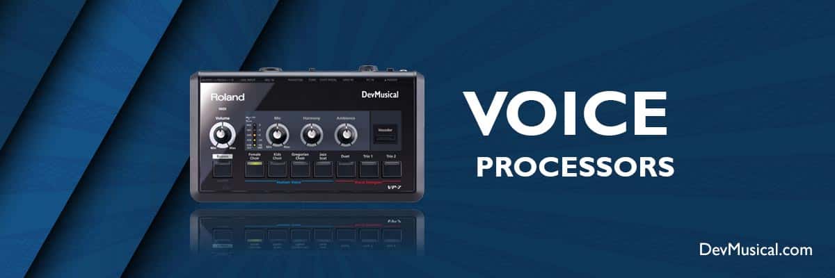VOICE PROCESSORS