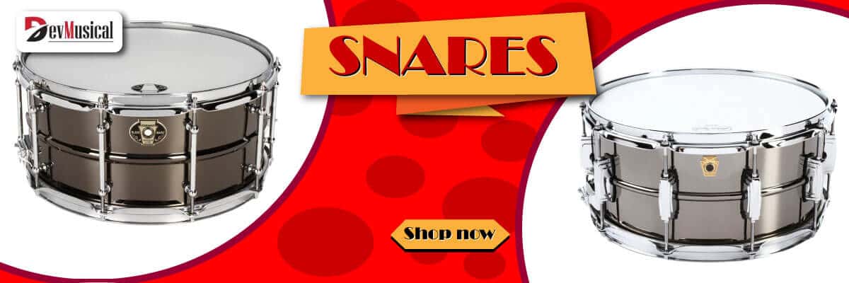 SNARES