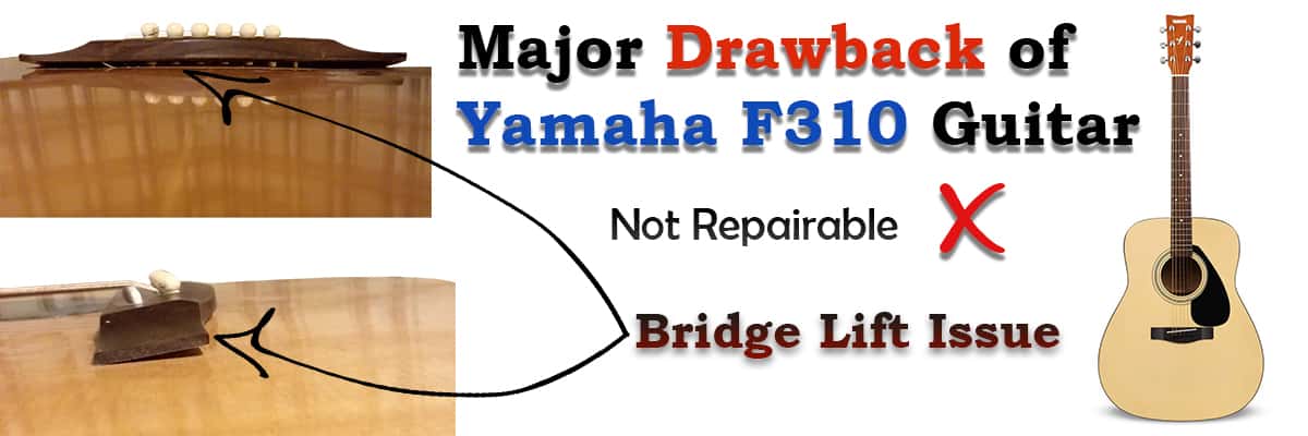 Drawbacks of Yamaha F310 Guitar Review Latest 2021