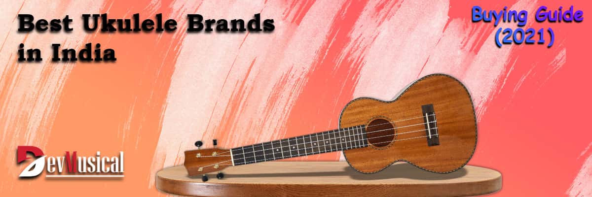 The Best Ukuleles for Beginners in India 2021