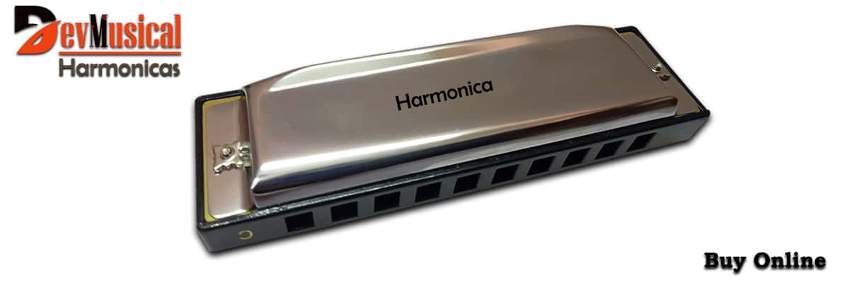 Best harmonicas to buy in India 2021