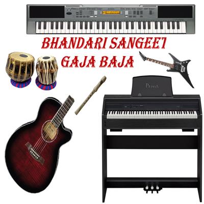 Best Musical Instruments Supplier in India