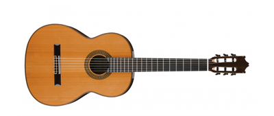Ibanez G500-NT Acoustic Guitar