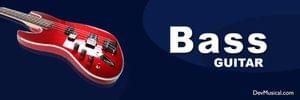 Bass Guitars
