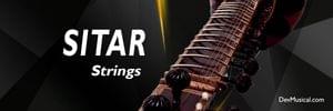 SITAR STRINGS