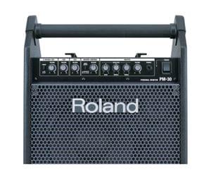 Roland Pm 30 Personal Monitor Amplifier