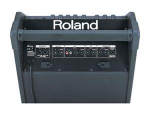 1553262340843-421-Roland-Pm-30-Personal-Monitor-Amplifier-4.jpg