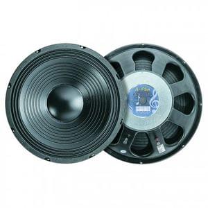A Plus E 15-300SLF 15 Inch Loudspeaker Subwoofer DevMusical