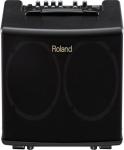 Roland AC40 - Acoustic Chorus Guitar Amplifier | DevMusical